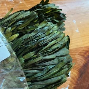 Oasis Dried Floral Foliage